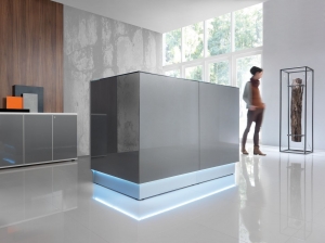 Linea Reception