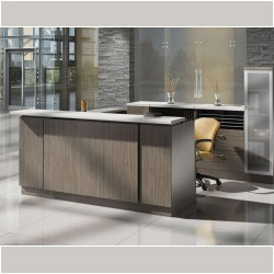 Global Zira Reception