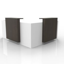 Fluid Concepts Reception