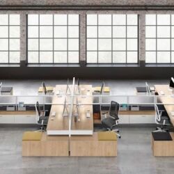 Lacasse Paradigm System