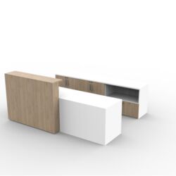 Fluid Concepts Reception